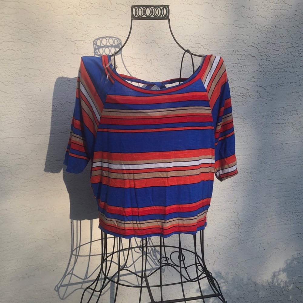 Trendy Land Crop Top